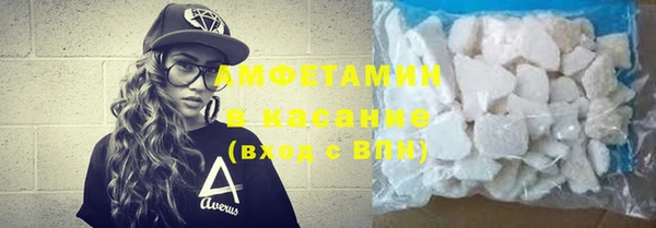 прущие грибы Чекалин