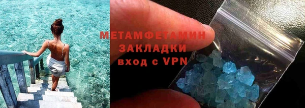 прущие грибы Чекалин