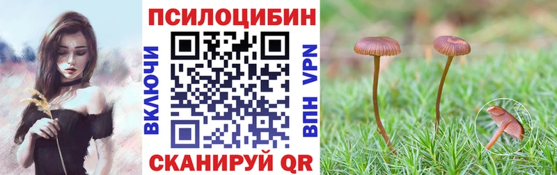 купить закладку Казань Псилоцибиновые грибы ЛСД