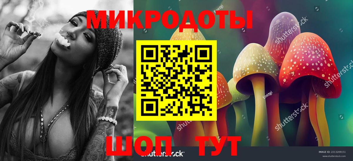 Казань  даркнет сайт  Вход с VPN  Галлюциногенные грибы MAGIC MUSHROOMS  Псилоцибиновые грибы Psilocybe 